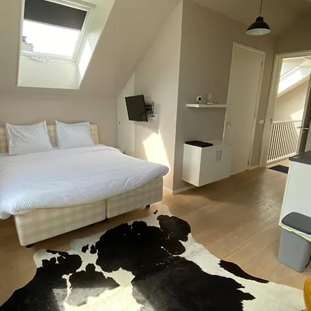 Appartamento Zeeziek Den Hoorn (North Holland)